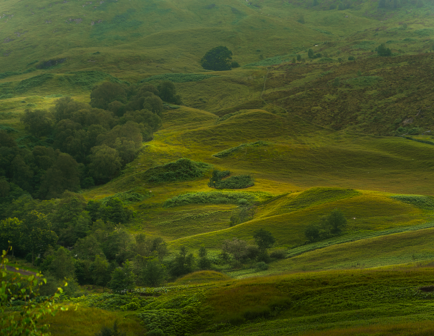 Glenfinnan landscape